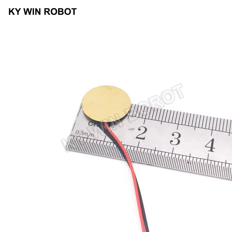10 Pcs Piezoelectric Piezo Cer - огляд і ціна R/Diy Electronics